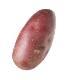 Photo of One whole red potato isolated on white