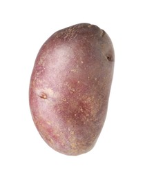 Photo of One whole red potato isolated on white