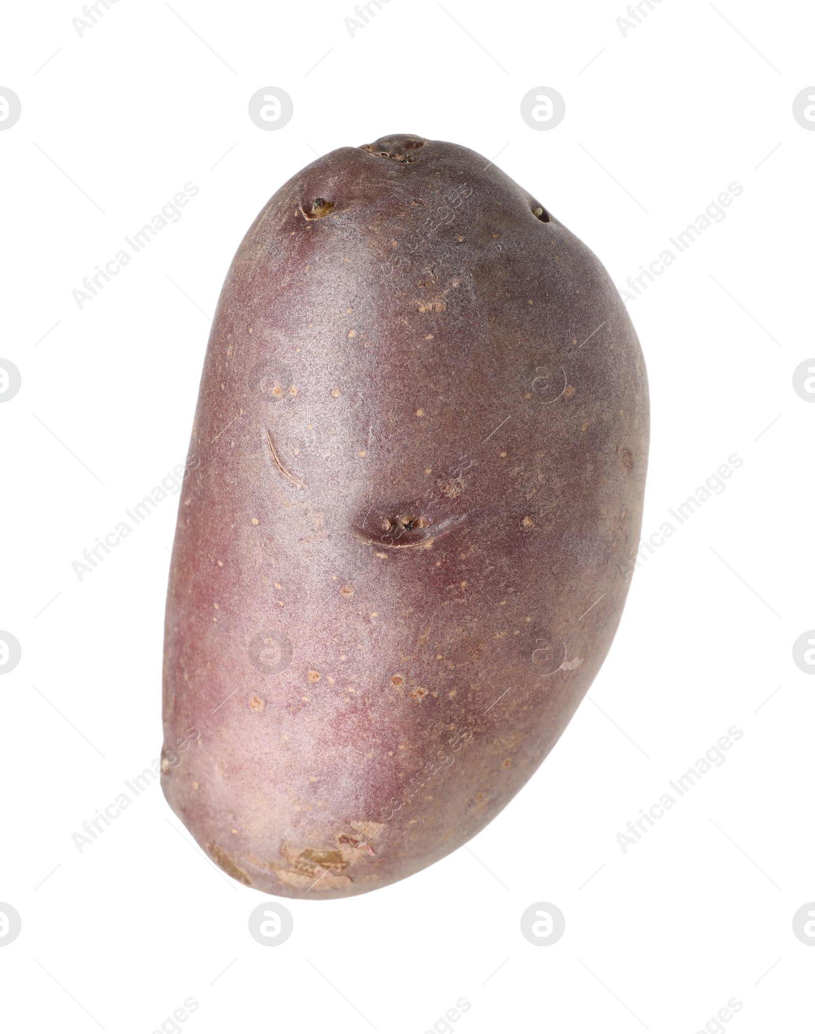 One whole red potato isolated on white Photo of One whole red potato isolated on white