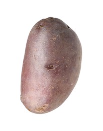 Photo of One whole red potato isolated on white