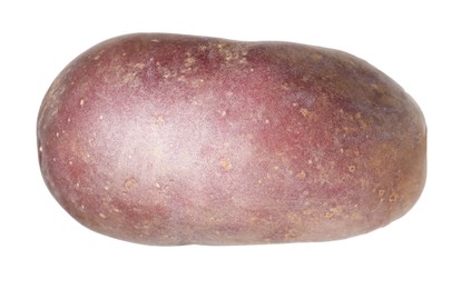 Photo of One whole red potato isolated on white
