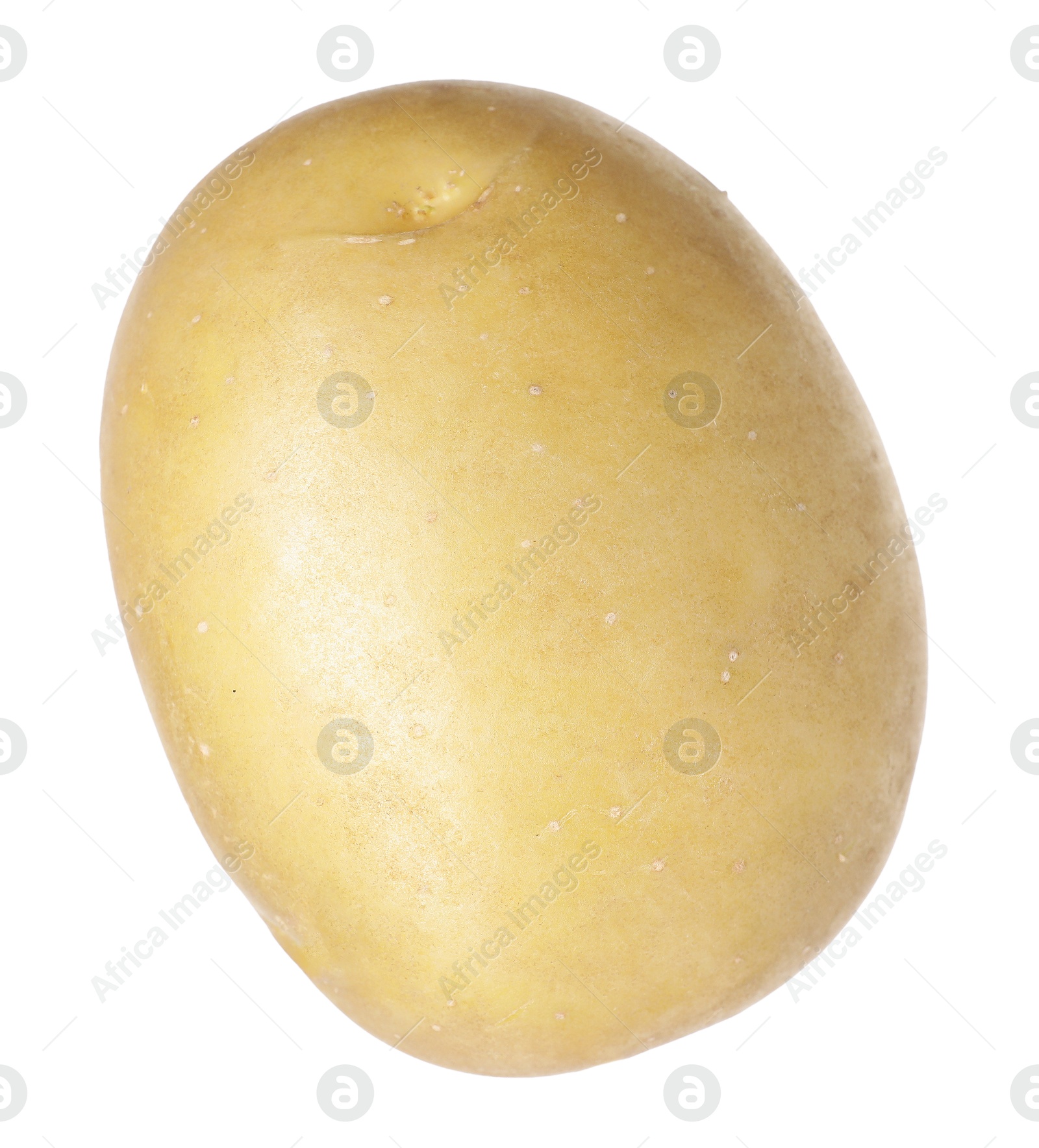One whole ripe potato isolated on white Photo of One whole ripe potato isolated on white