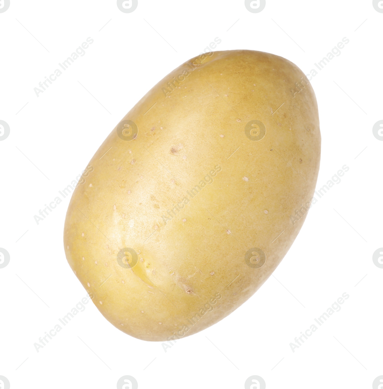 One whole ripe potato isolated on white Photo of One whole ripe potato isolated on white