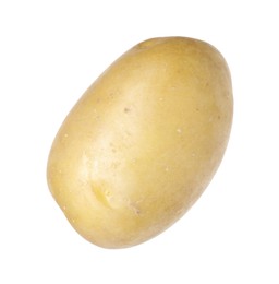 Photo of One whole ripe potato isolated on white