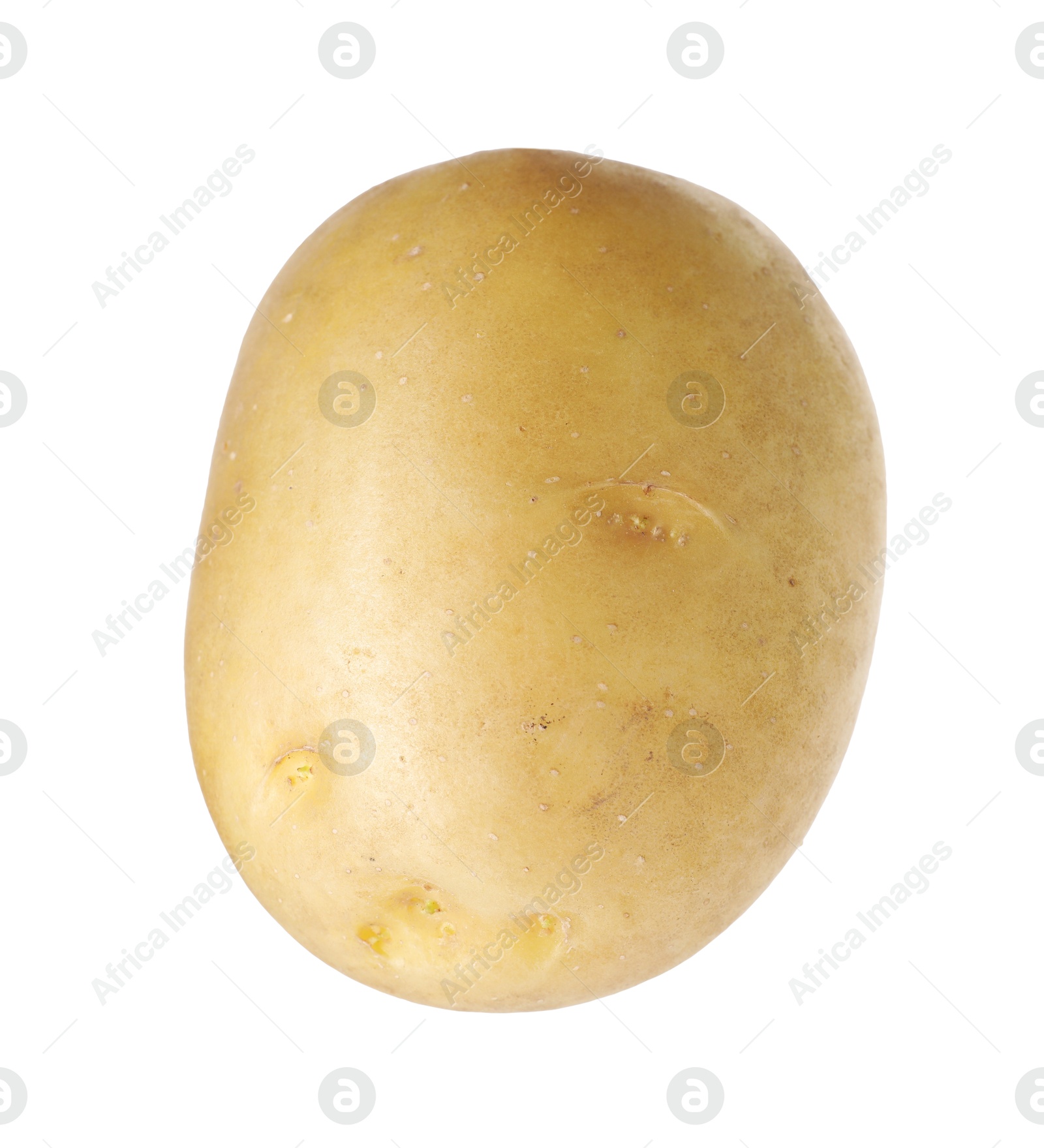 One whole ripe potato isolated on white Photo of One whole ripe potato isolated on white