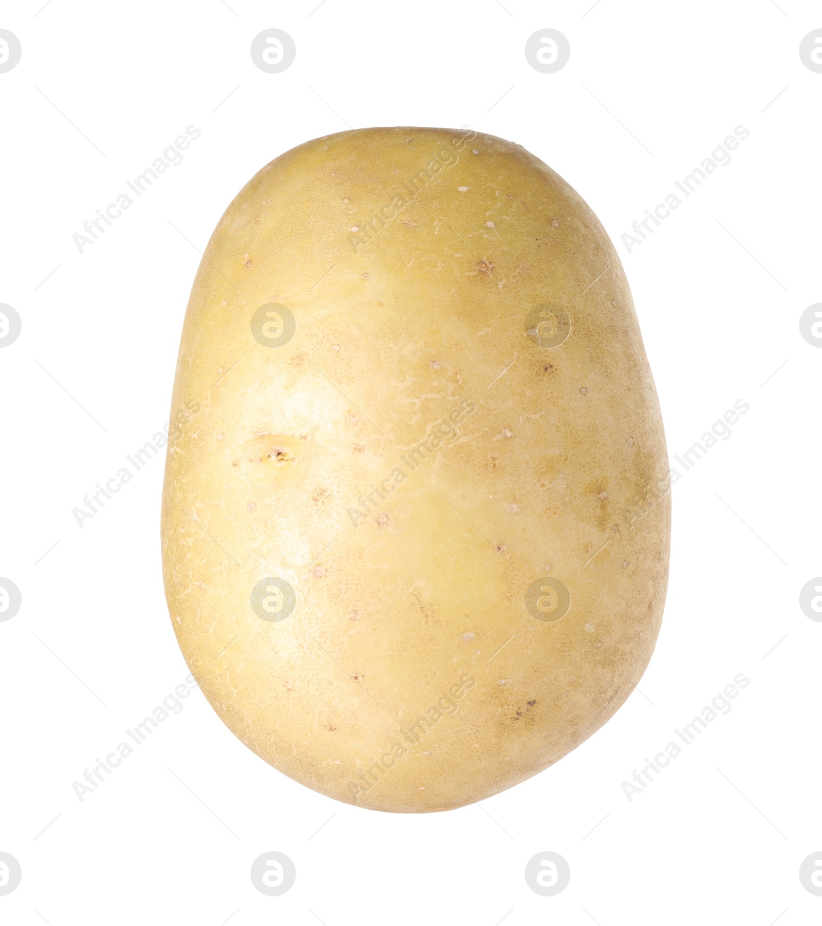 One whole ripe potato isolated on white Photo of One whole ripe potato isolated on white