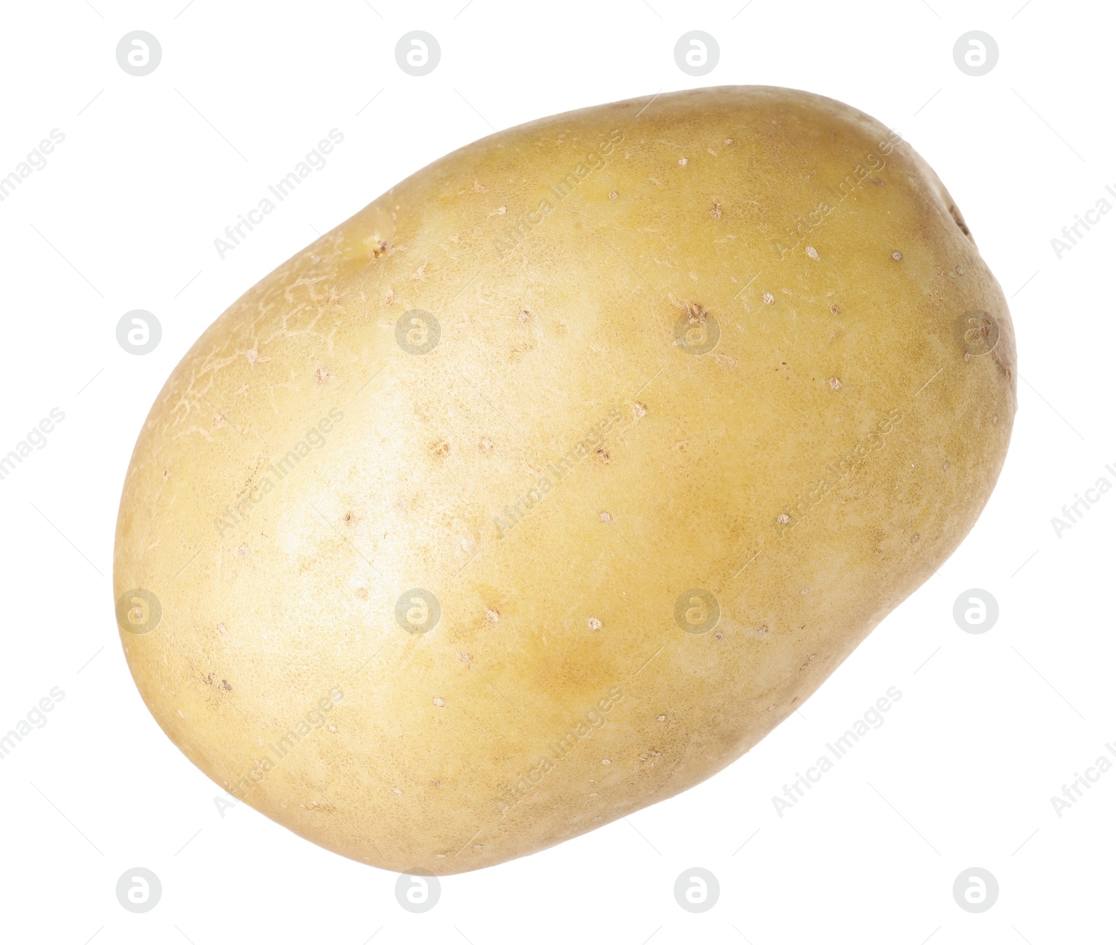 One whole ripe potato isolated on white Photo of One whole ripe potato isolated on white