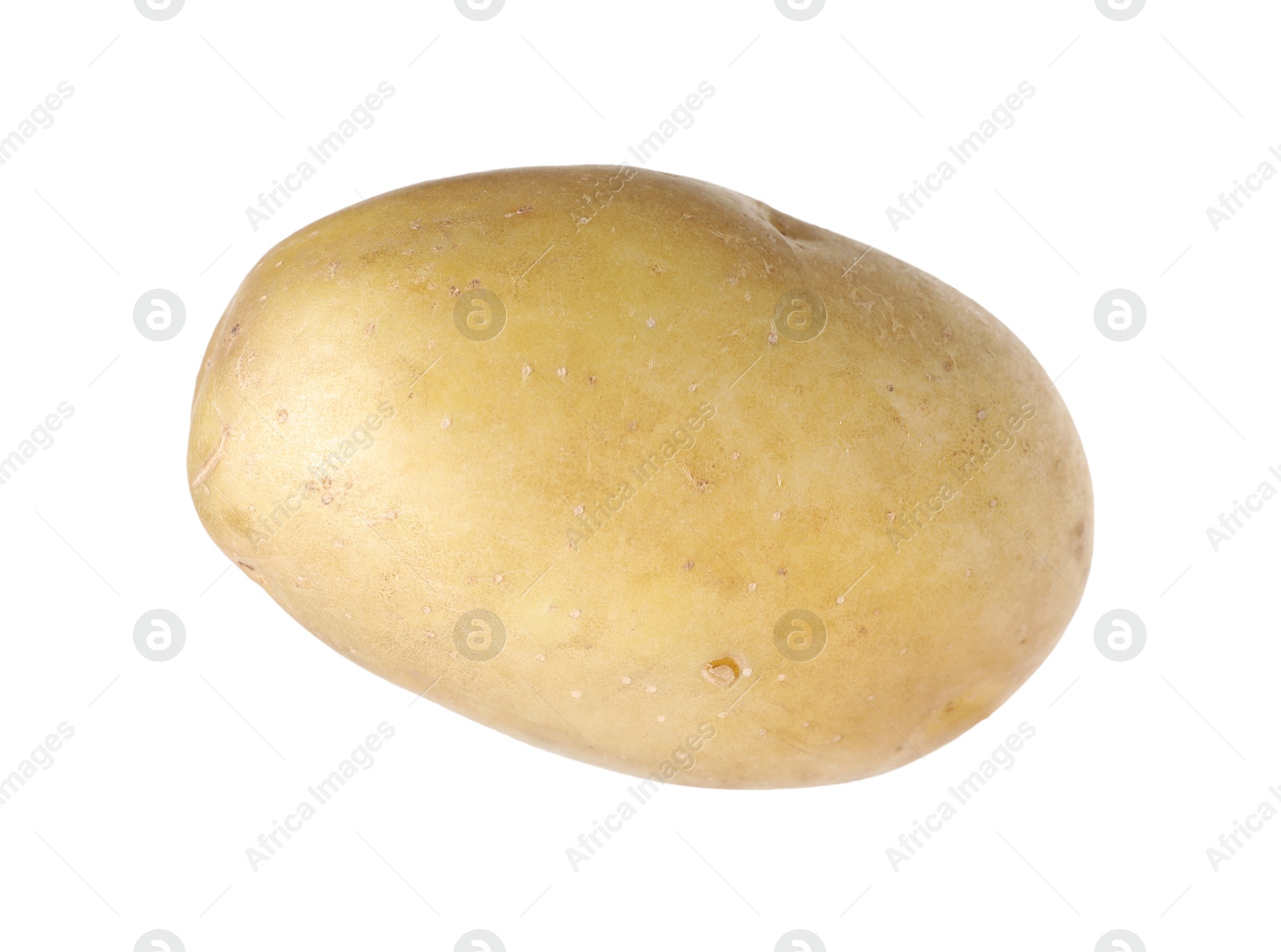 One whole ripe potato isolated on white Photo of One whole ripe potato isolated on white