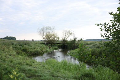 Photo of Green grass and trees growing alongside river in countryside