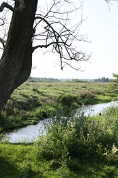Photo of Green grass and trees growing alongside river in countryside