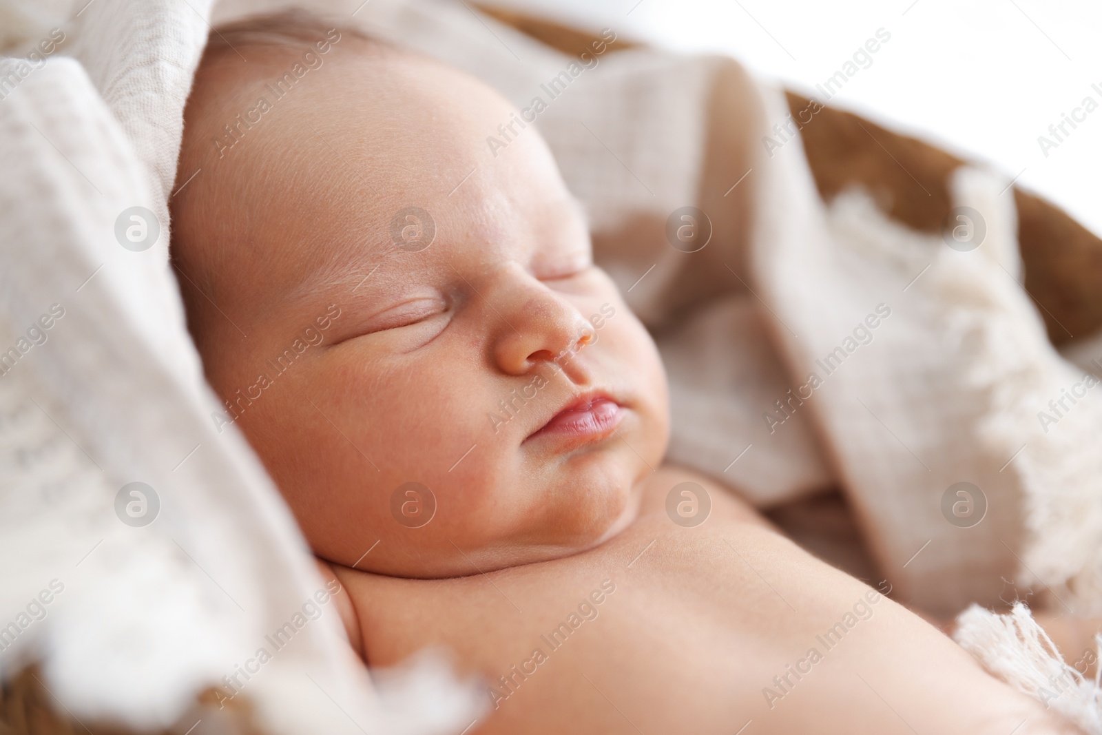 Cute newborn child sleeping in baby nest indoors Photo of Cute newborn child sleeping in baby nest indoors