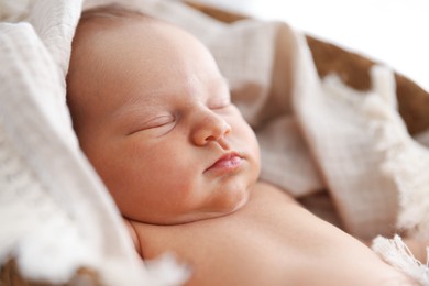 Photo of Cute newborn child sleeping in baby nest indoors