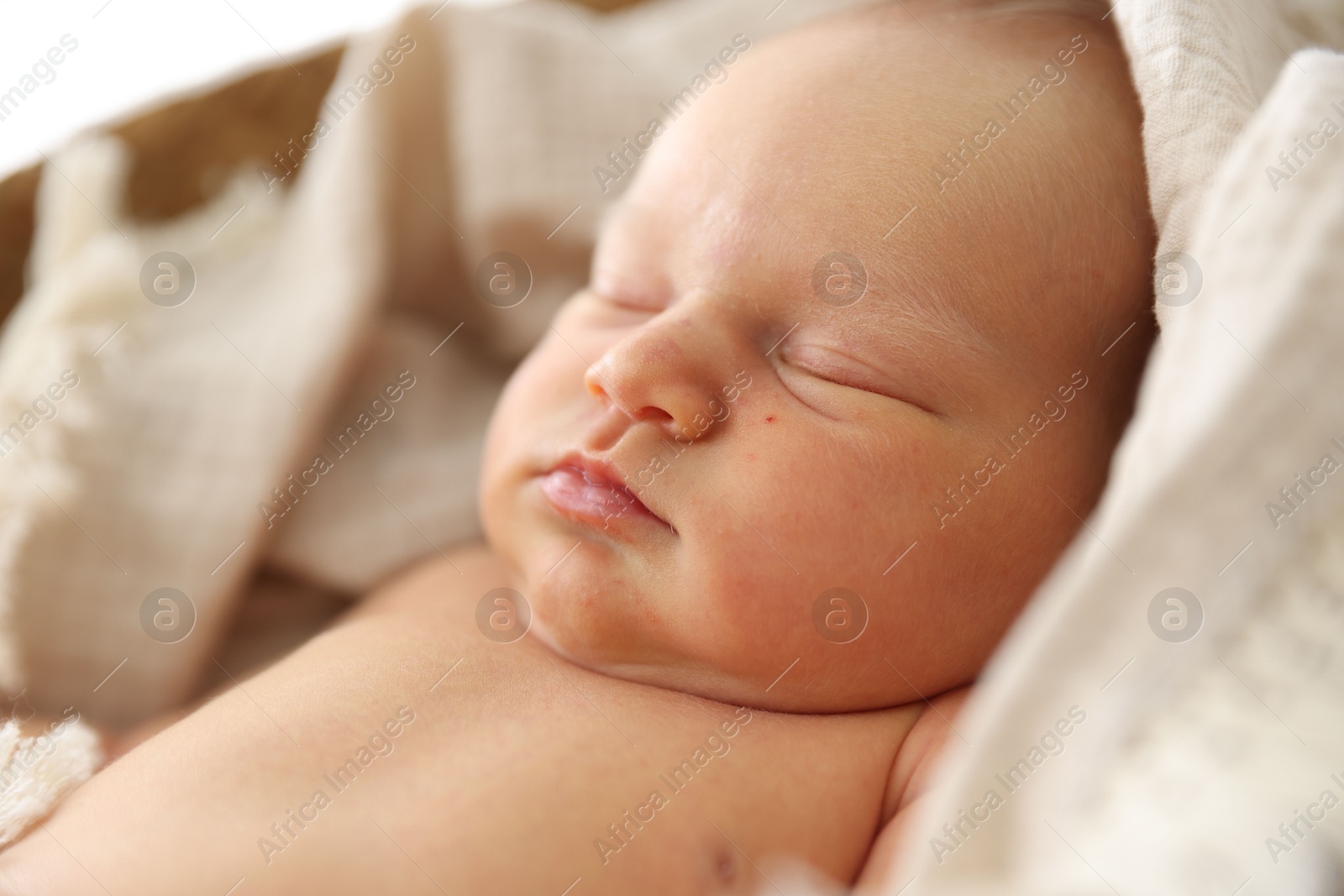 Cute newborn child sleeping in baby nest indoors Photo of Cute newborn child sleeping in baby nest indoors