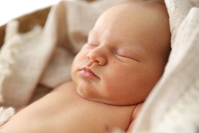 Photo of Cute newborn child sleeping in baby nest indoors