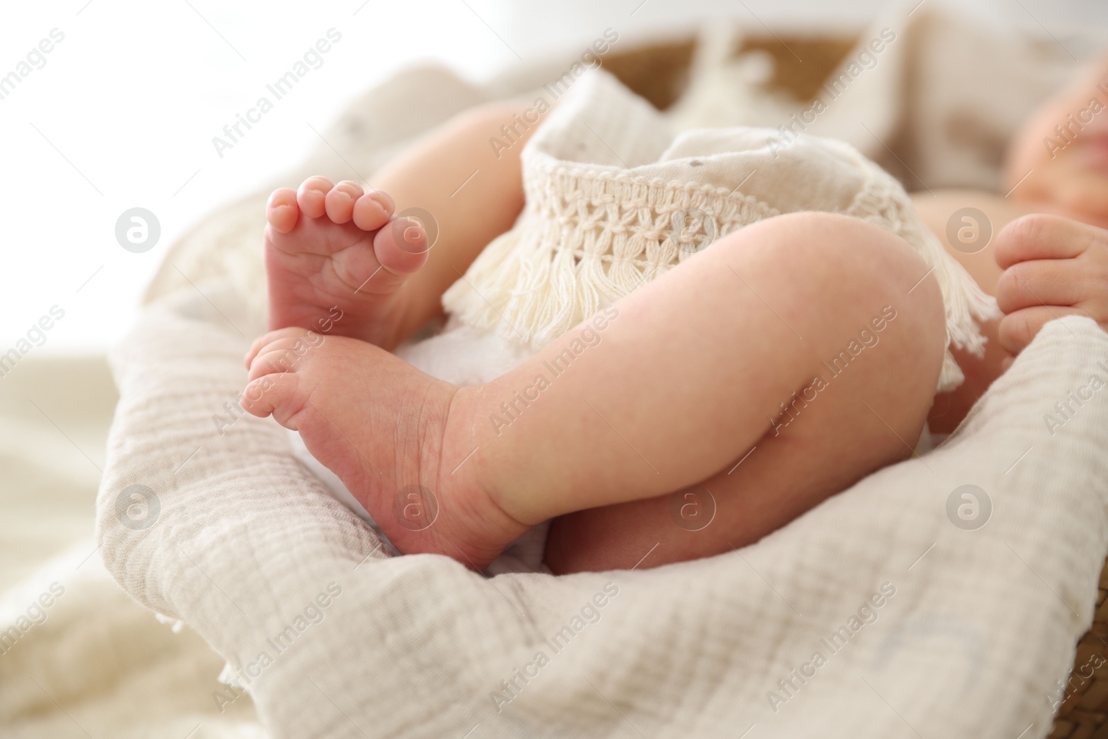 Cute newborn child lying in baby nest indoors, closeup Photo of Cute newborn child lying in baby nest indoors, closeup