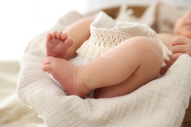 Photo of Cute newborn child lying in baby nest indoors, closeup