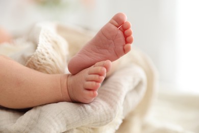 Photo of Cute newborn child lying in baby nest indoors, closeup. Space for text