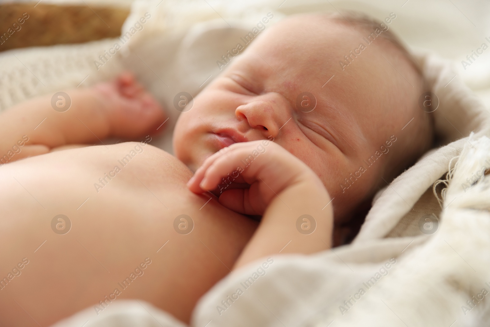 Cute newborn child sleeping in baby nest indoors Photo of Cute newborn child sleeping in baby nest indoors