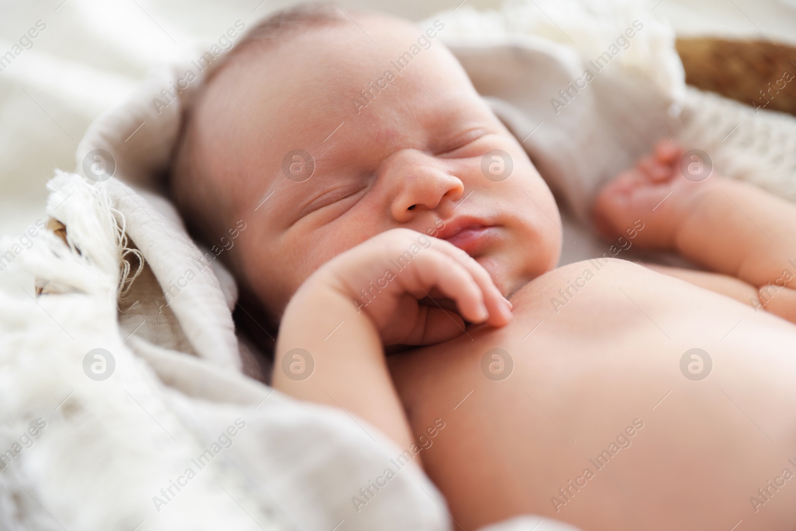 Cute newborn child sleeping in baby nest indoors Photo of Cute newborn child sleeping in baby nest indoors