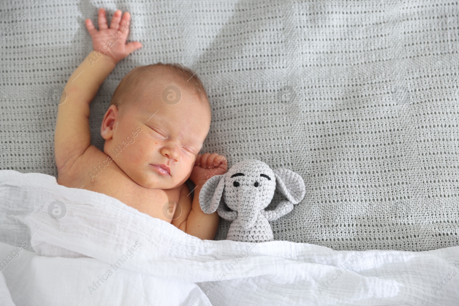 Cute newborn baby with toy on bed, top view. Space for text Photo of Cute newborn baby with toy on bed, top view. Space for text