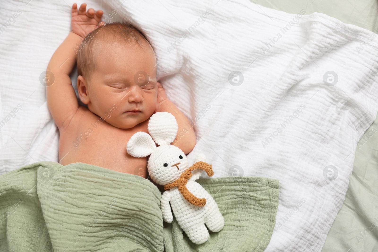 Cute newborn baby with toy bunny on bed, top view. Space for text Photo of Cute newborn baby with toy bunny on bed, top view. Space for text