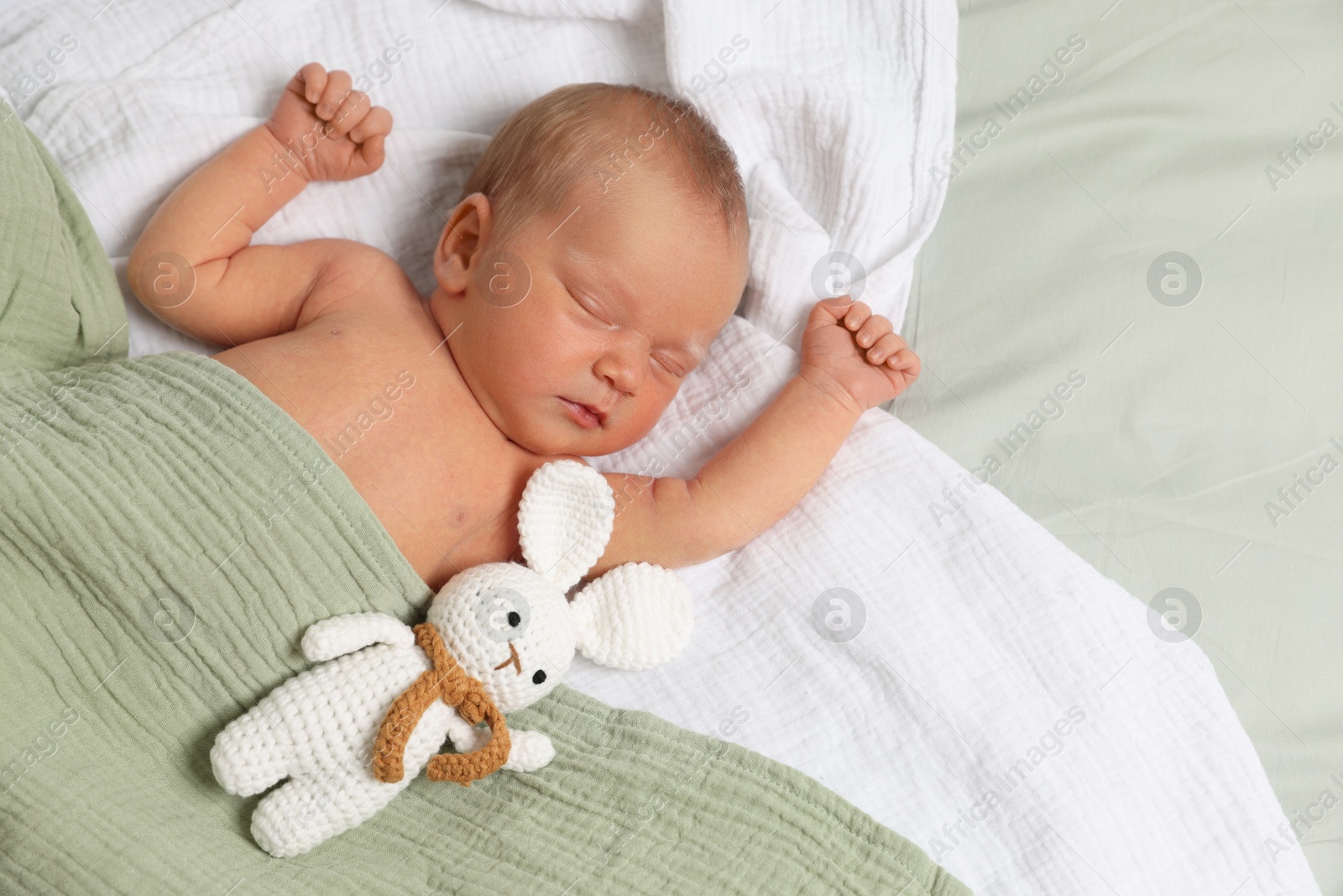 Cute newborn baby with toy bunny on bed, top view. Space for text Photo of Cute newborn baby with toy bunny on bed, top view. Space for text