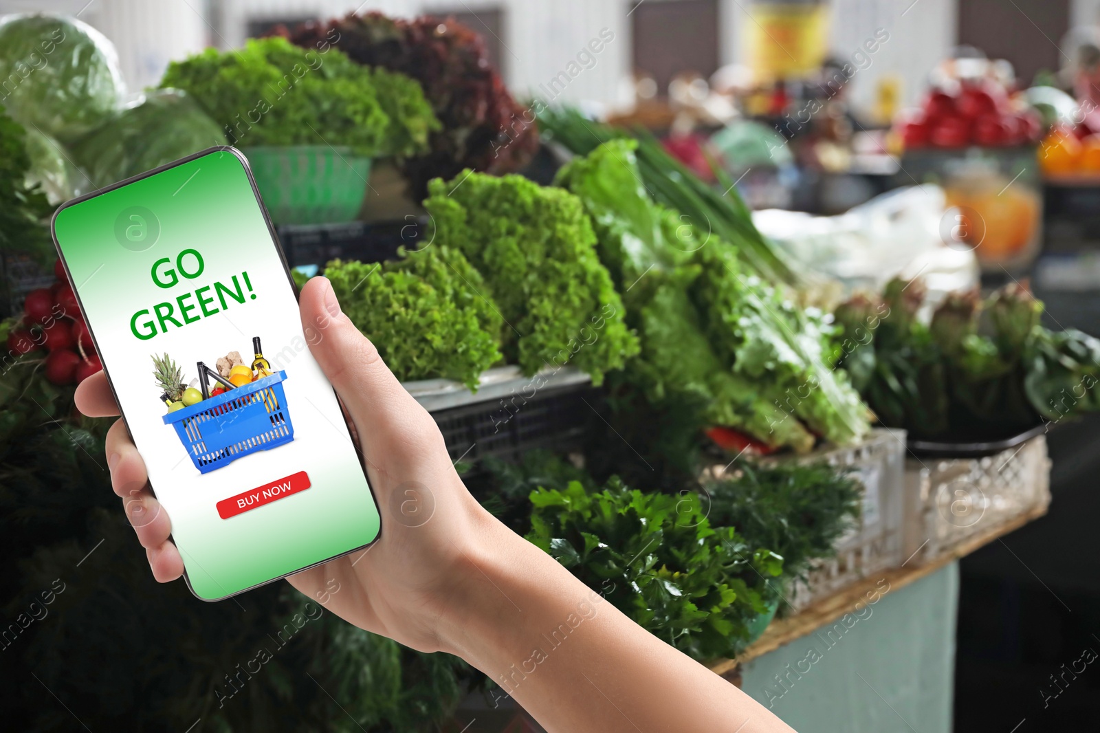 Food delivery. Man using mobile phone app to order grocery online, closeup Image of Food delivery. Man using mobile phone app to order grocery online, closeup