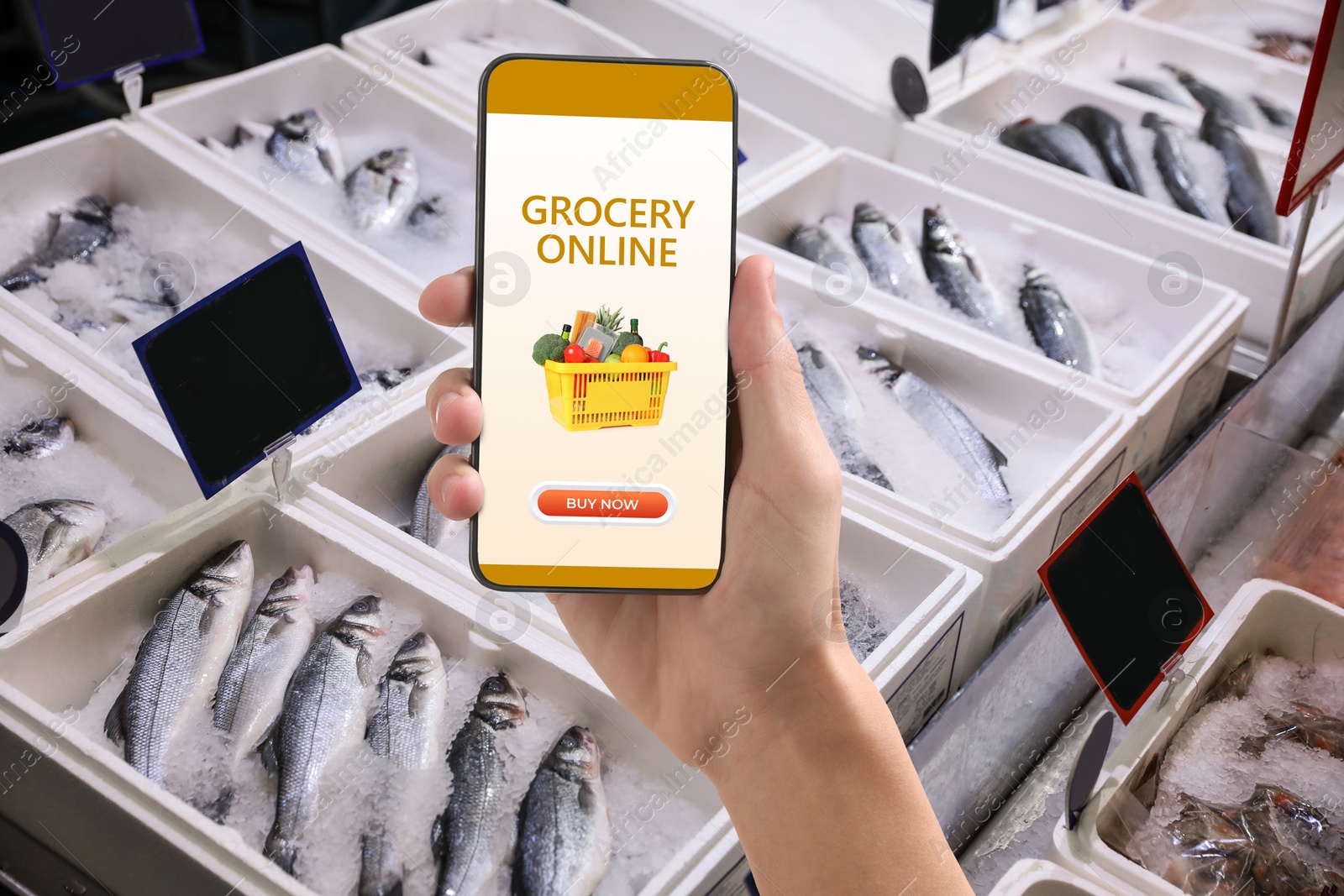 Image of Food delivery. Man using mobile phone app to order grocery online, closeup