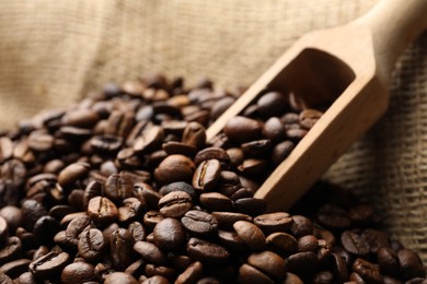 Photo of Aromatic coffee beans and scoop in burlap bag, closeup