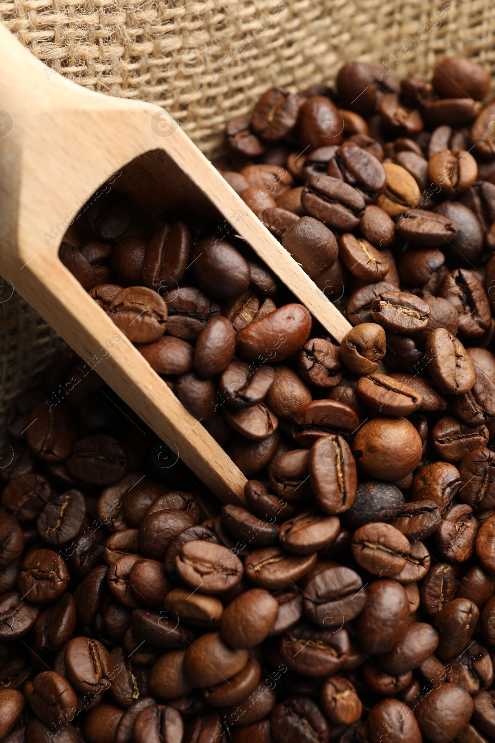 Aromatic coffee beans and scoop in burlap bag, above view Photo of Aromatic coffee beans and scoop in burlap bag, above view