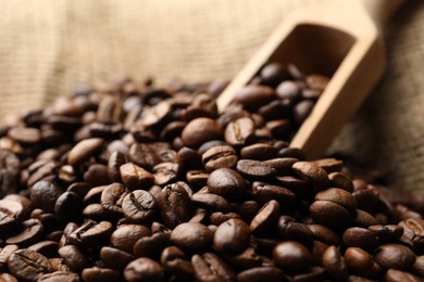 Photo of Aromatic coffee beans and scoop in burlap bag, closeup