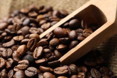 Photo of Aromatic coffee beans and scoop in burlap bag, closeup