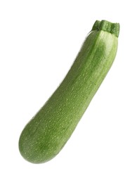 Photo of One fresh ripe zucchini isolated on white