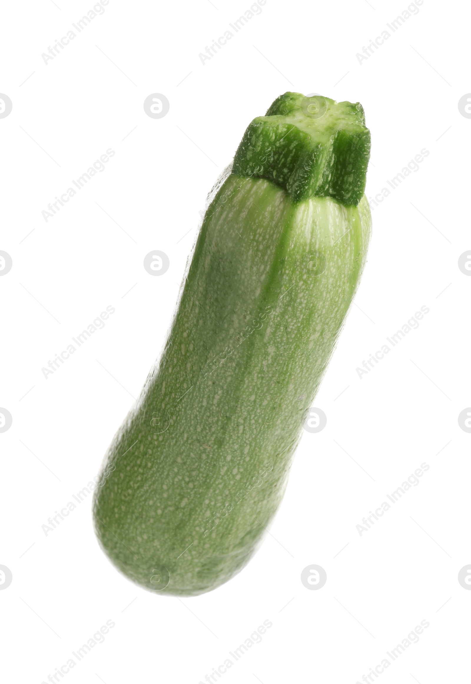 One fresh ripe zucchini isolated on white Photo of One fresh ripe zucchini isolated on white