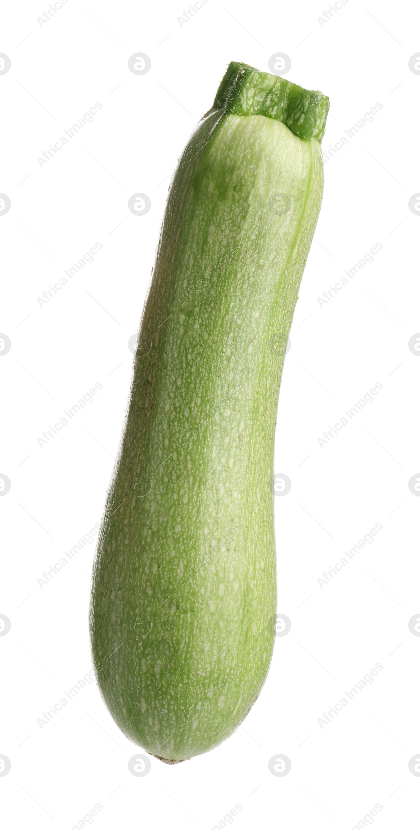 One fresh ripe zucchini isolated on white Photo of One fresh ripe zucchini isolated on white
