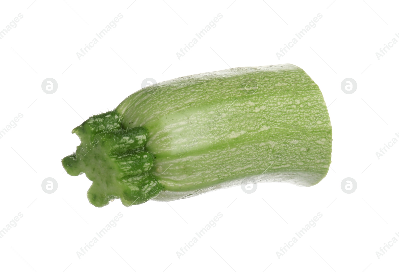 One piece of fresh zucchini isolated on white Photo of One piece of fresh zucchini isolated on white