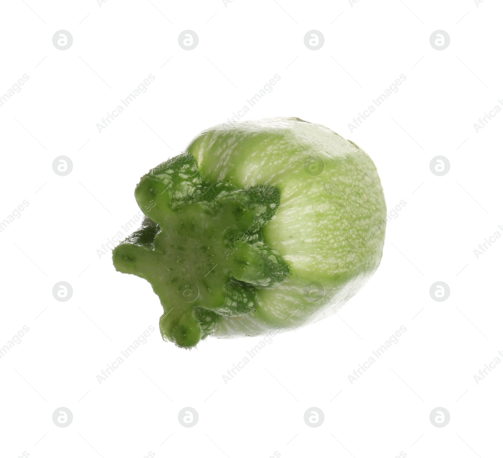 One piece of fresh zucchini isolated on white Photo of One piece of fresh zucchini isolated on white