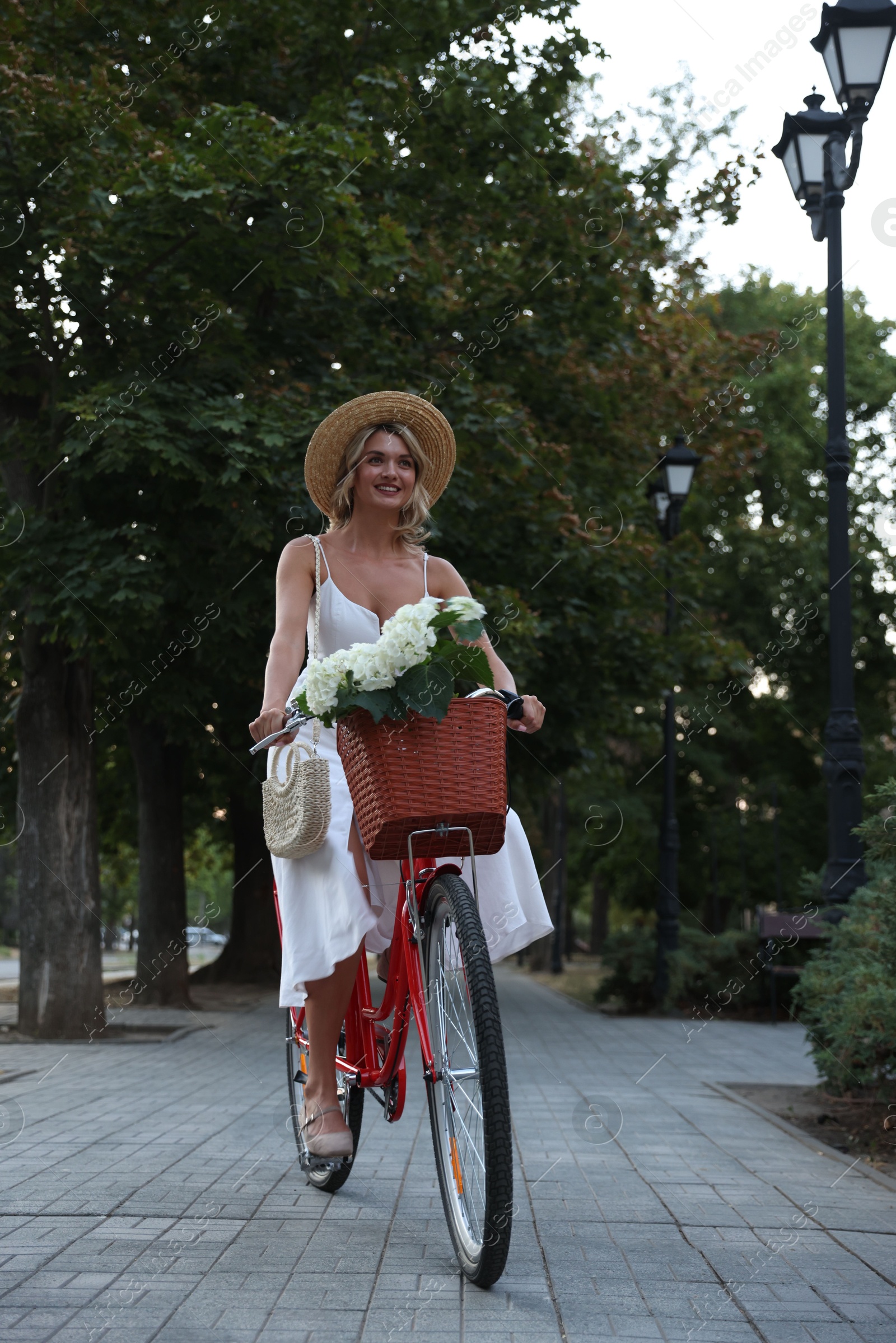 Beautiful woman riding bicycle with basket of flowers on city street Photo of Beautiful woman riding bicycle with basket of flowers on city street