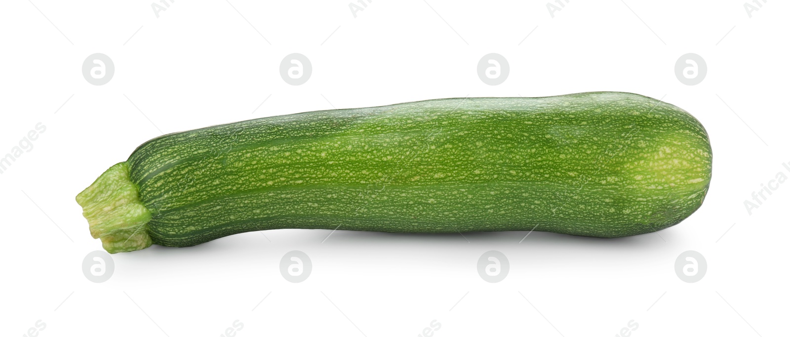 One fresh ripe zucchini isolated on white Photo of One fresh ripe zucchini isolated on white