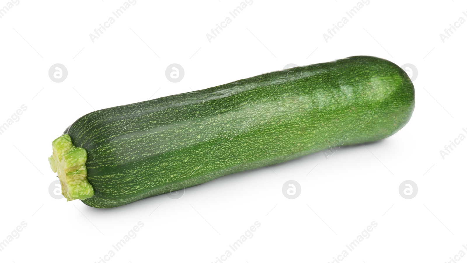 One fresh ripe zucchini isolated on white Photo of One fresh ripe zucchini isolated on white