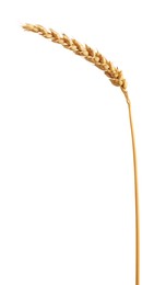 Photo of One golden wheat ear isolated on white
