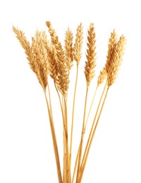 Photo of Many golden wheat ears isolated on white