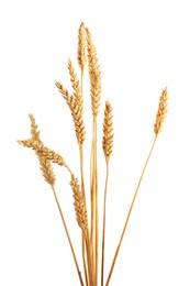 Photo of Many golden wheat ears isolated on white