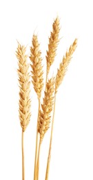 Photo of Many golden wheat ears isolated on white