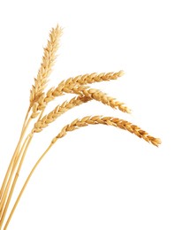 Photo of Many golden wheat ears isolated on white
