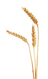 Photo of Three golden wheat ears isolated on white