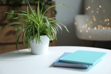 Photo of Notebooks and houseplant on white table against blurred lights