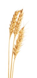 Photo of Three golden wheat ears isolated on white