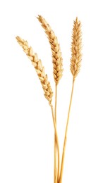 Photo of Three golden wheat ears isolated on white