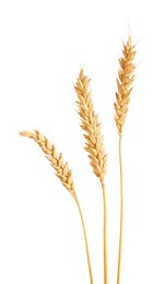 Photo of Three golden wheat ears isolated on white